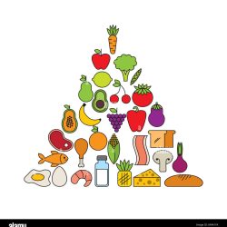 Virtual Nutrition Coaching